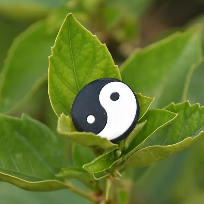 Understanding Yin & Yang: A Philosophy of Balance