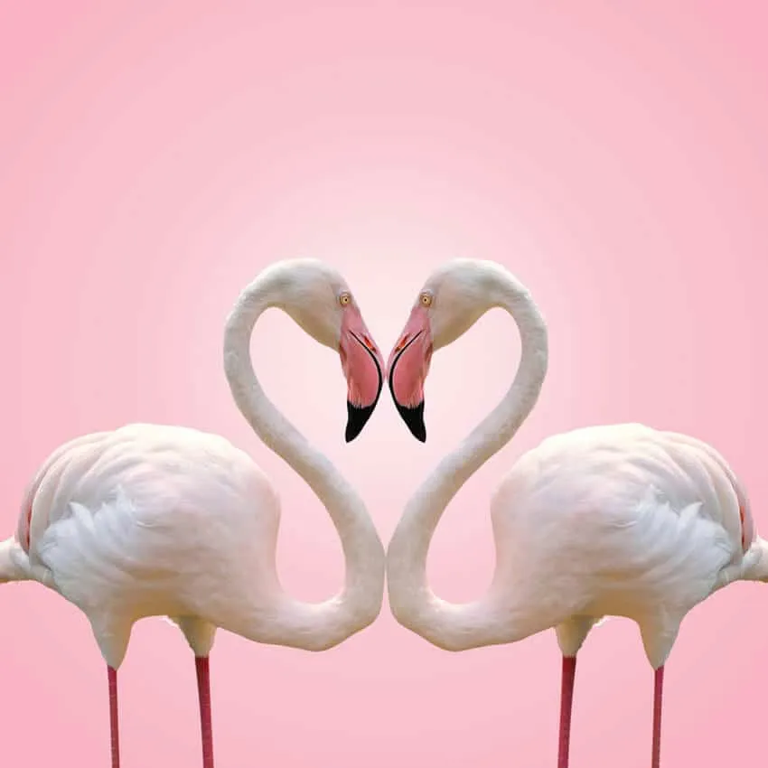 What Your Daily Love Horoscope Says about Your Love Needs