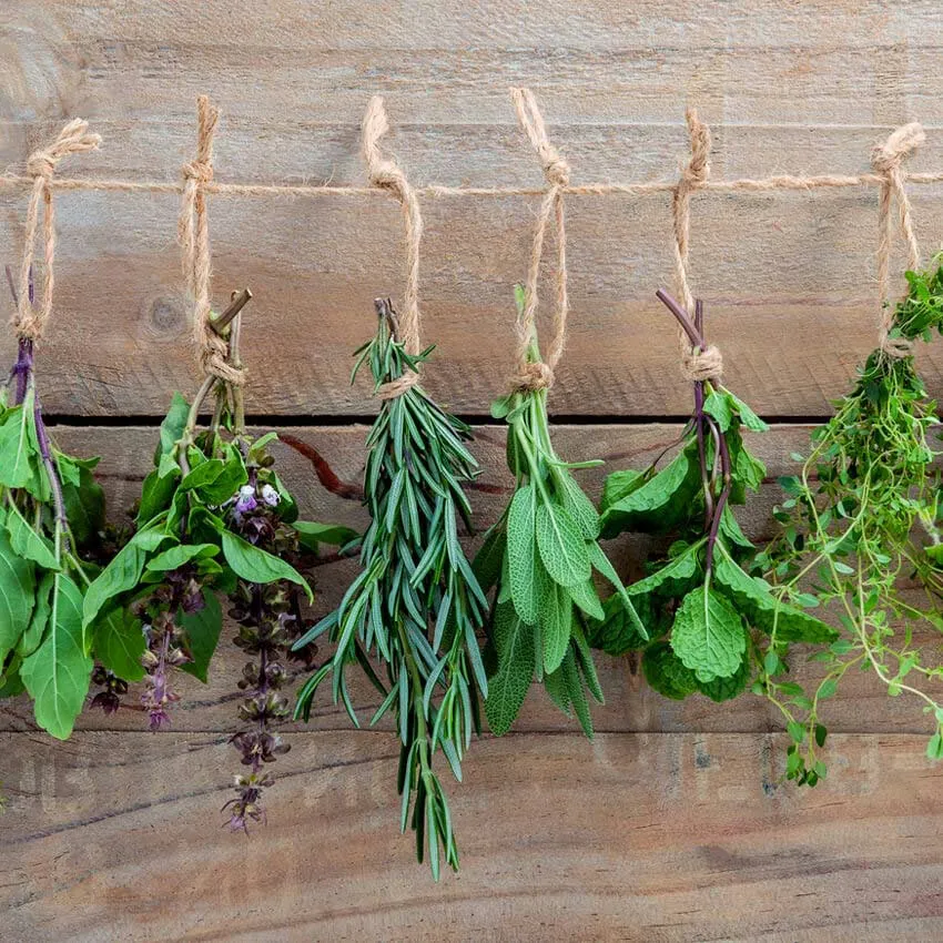 Which Food Helps Balance the Negative Aspects of Your Sign?