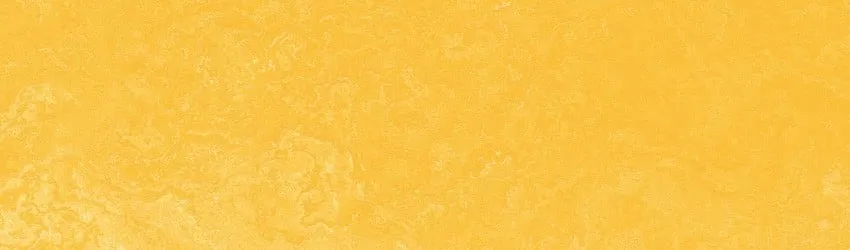 the-color-yellow