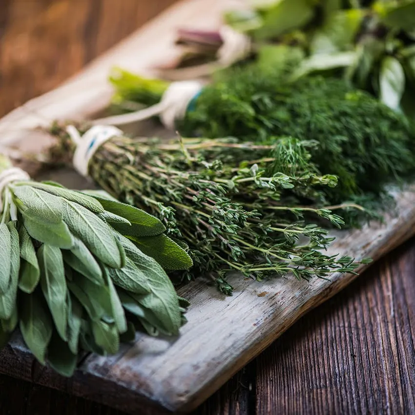 Which Herb You Should Work With, Based on Your Zodiac Sign
